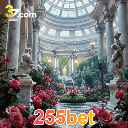 255bet plataforma Confiavel